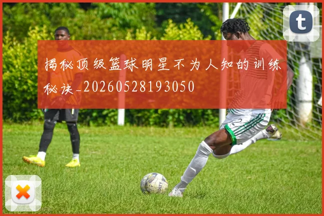 揭秘顶级篮球明星不为人知的训练秘诀_20260528193050